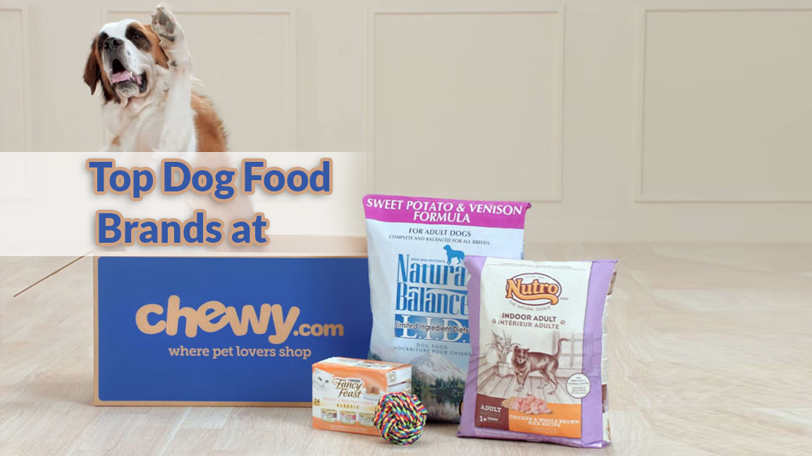 Find top dog food brands at Chewy